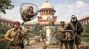 <div class="paragraphs"><p>علامتی تصویر (اے آئی)</p></div>