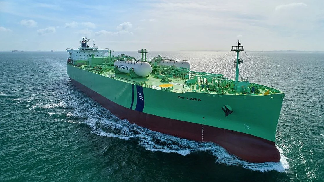 <div class="paragraphs"><p>گرین سانوی، تصویر سوشل میڈیا</p></div>