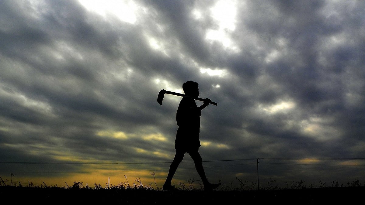 <div class="paragraphs"><p>کسان، علامتی تصویر آئی اے این ایس</p></div>