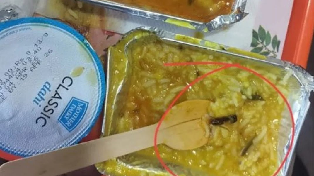 <div class="paragraphs"><p>کھانے میں کیڑا، تصویر ’ایکس‘</p></div>