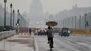 <div class="paragraphs"><p>تصویر سوشل میڈیا</p></div>