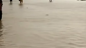 متھرا میں المناک حادثہ: ندی میں کشتی الٹنے سے 10 عقیدتمندوں اور سیاحوں کی موت، متعدد لاپتہ