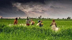 <div class="paragraphs"><p>کھیت میں کام کرتے مزدور(فائل تصویر)</p></div>