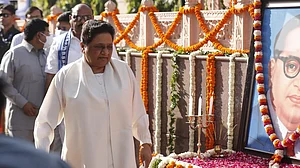 <div class="paragraphs"><p>تصویر : مایاوتی ’ایکس‘ ہینڈل</p></div>