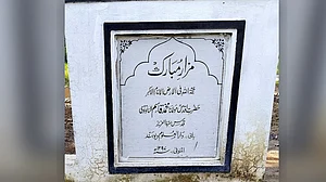 <div class="paragraphs"><p>تصویر شاہد صدیقی علیگ</p></div>