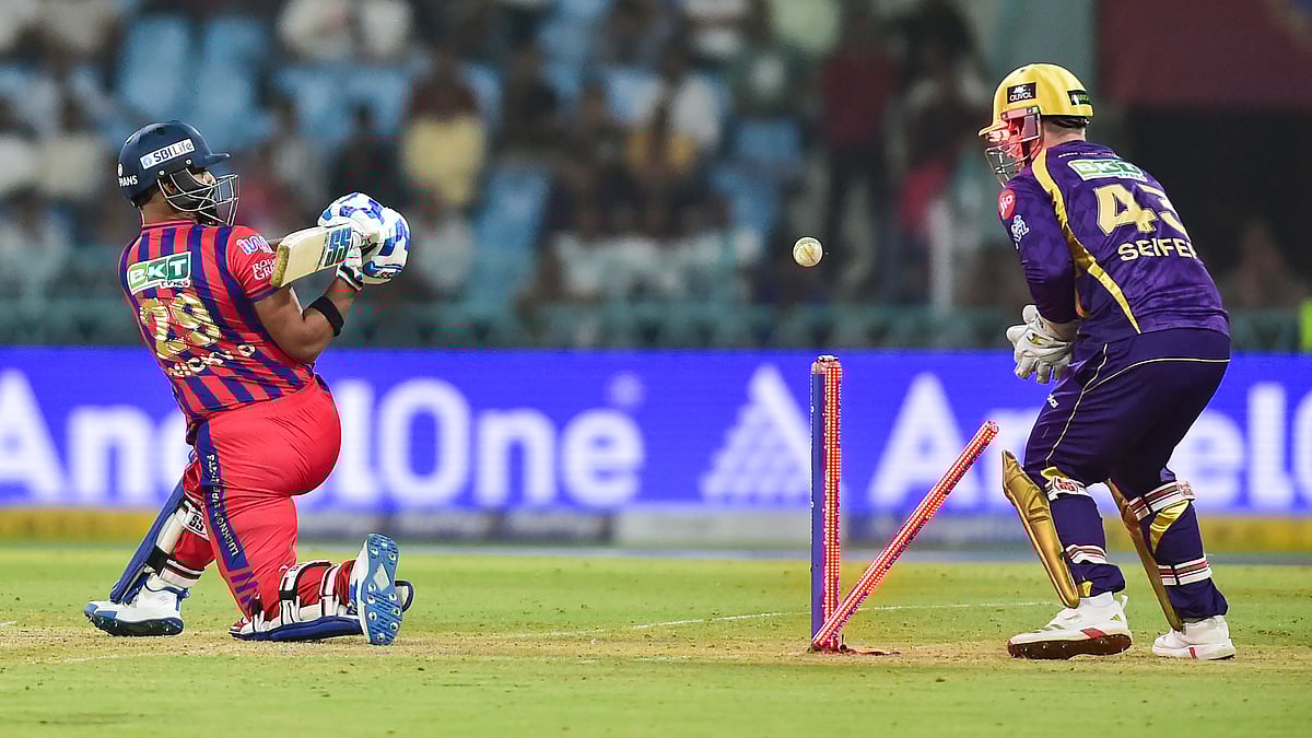 <div class="paragraphs"><p>تصویر بشکریہ آئی اے این ایس</p></div>