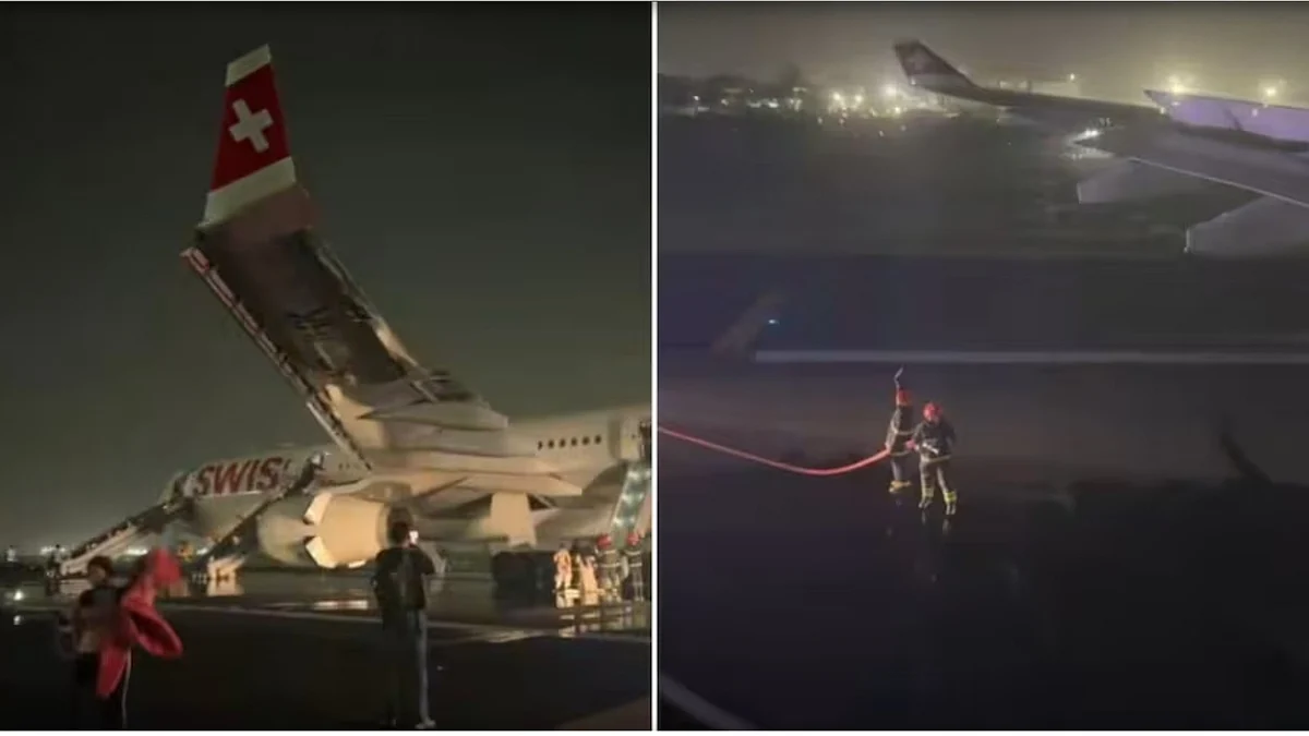 <div class="paragraphs"><p>ویڈیو گریب</p></div>