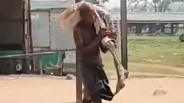 <div class="paragraphs"><p>ویڈیو گریب</p></div>