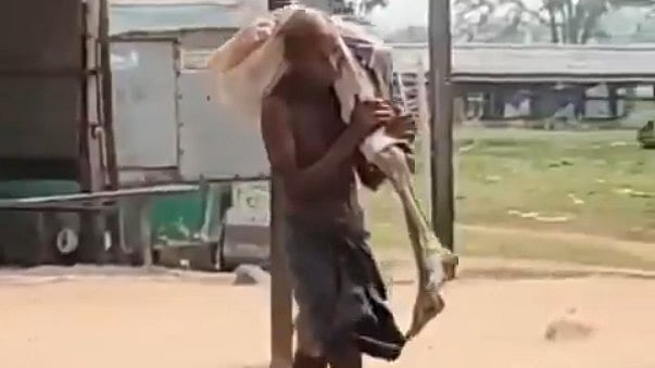 <div class="paragraphs"><p>ویڈیو گریب</p></div>