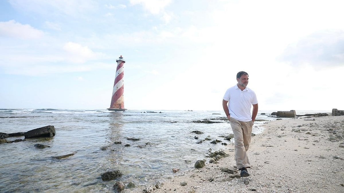 سابق وزیر اعظم اندرا گاندھی سے منسوب تاریخی مقام پر 42 سال بعد پہنچے راہل گاندھی، پیش کیا خراج عقیدت