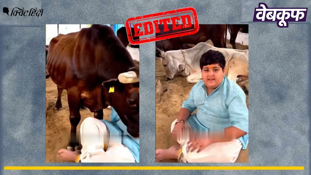 <div class="paragraphs"><p>अभिनव अरोड़ा पर हमले करते सांड का यह वीडियो एडिटेड है</p></div>