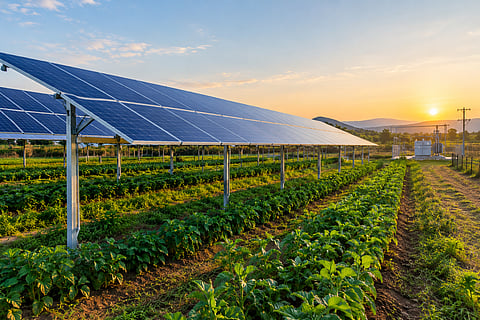 Rows of photovoltaic panels installed above cultivated agricultural fields, with a solar power substation and utility infrastructure visible in the background.