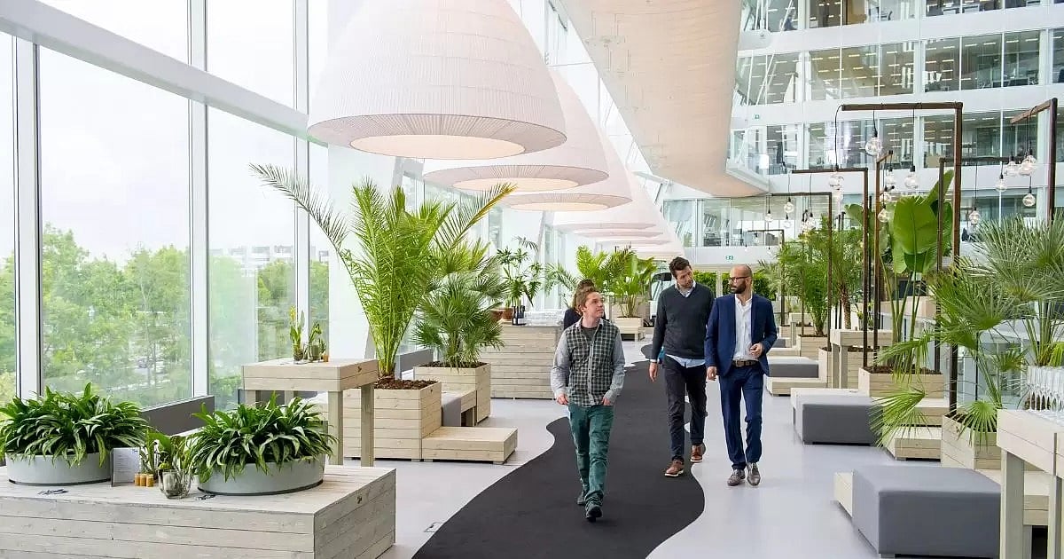 Transform Your Space: Biophilic Design for Health and Well-Being