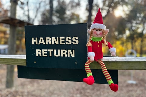 Festive Fun for all Ages