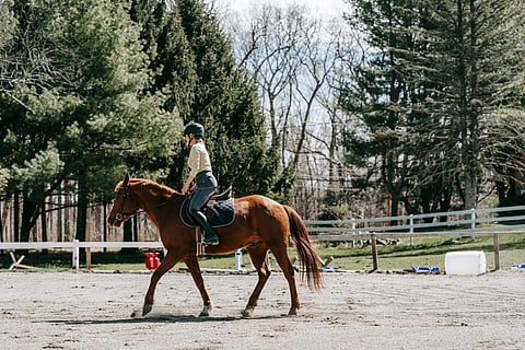 Why Lightweight Riding Pants Are Perfect for Summer