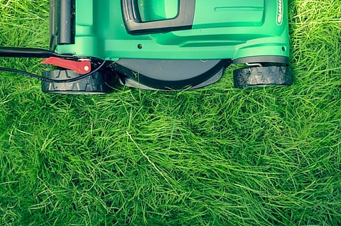 Essential Lawn Care Practices Along with Guidance on Proper Grass Cutting