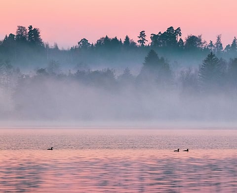 Italian Birding Trails: Uncover the Top Spots for Birdwatching