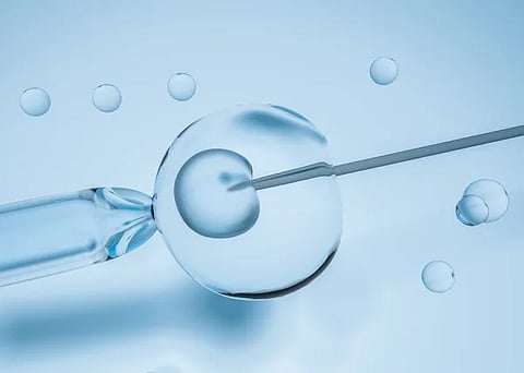 Is IVF in Tijuana, Mexico Safe? Here’s What to Know Before You Go