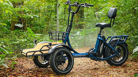 Pet-Friendly Adventures: The Spytan Electric Trike for Your Beloved Companion
