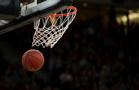Transform Your Backyard into a Sports Oasis with Professional-Grade Nets