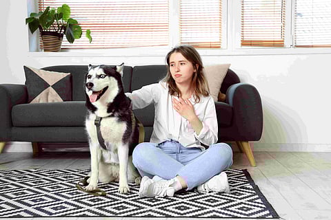 Understanding Dog Anxiety