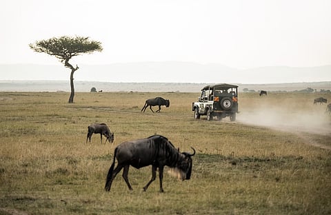 6 Unforgettable African Safari Destinations for a Lavish Getaway