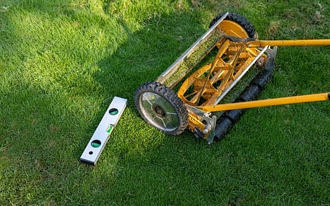 Top Reasons to Switch to Hydroseeding for Lawn Care