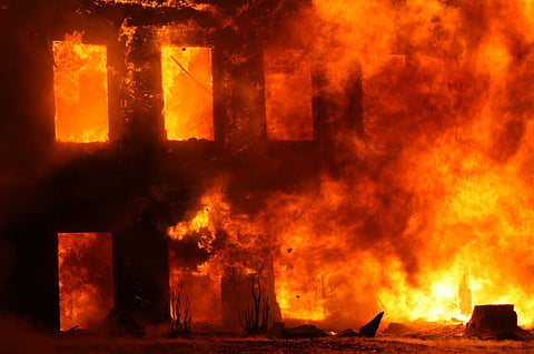 The Los Angeles Wildfires: What Lessons Can They Teach Us?