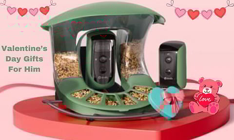 Valentine’s Day Gifts For Him: Unique Ideas To Express Your Love And Gratitude