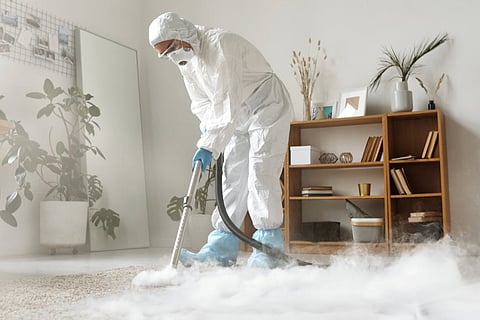Keep Your Carpets Fresh and Lasting Longer with Expert Cleaning