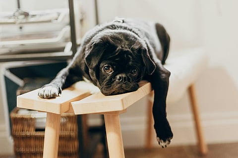 Five Fun Ways to Pass The Time When You’re Bored