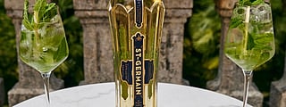 The St-Germain Hugo Spritz