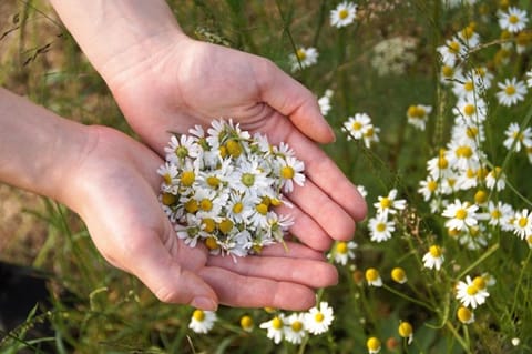 Are You Gifting the Right Flowers for Their Zodiac Sign? Birthday Bouquet Tips