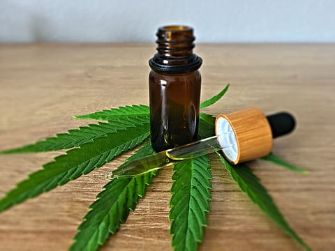 What to Know Before Trying CBD for the First Time