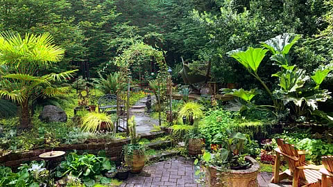 A Botanical Retreat Begins With Vision