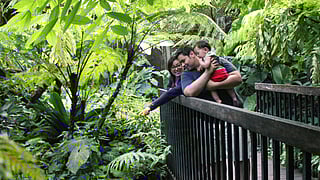 Father’s Day at Fairchild Tropical Botanic Garden 2024