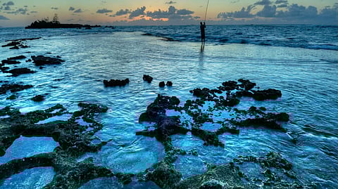 Hawai‘i, Hoʻi I Ke Kai Momona: Return to an Abundant Ocean