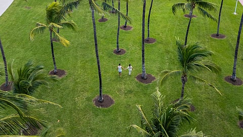 Miami Beach named No. 1 honeymoon destination in the U.S.