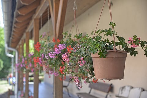 Honest Marygrove Awnings 2025 Review