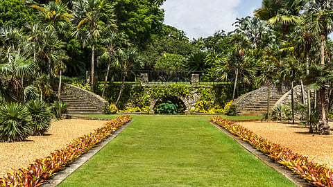 Lush Views at Fairchild Tropical Botanic Garden