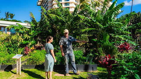 JD Dennis guiding guest through lush gardens at Hyatt Regency Maui