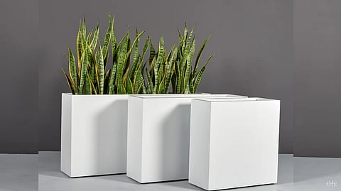 Rectangle Flower Pots: The Secret Weapon of Sleek Balcony Gardens