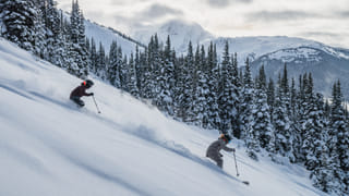 Skiers at Whistler Blackcomb