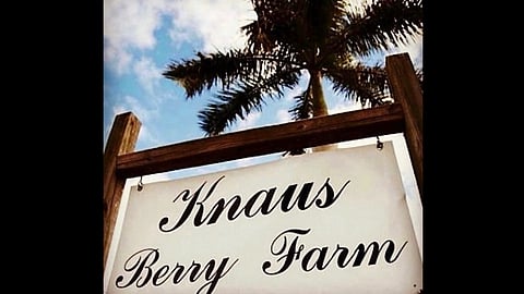 Knaus Berry Farm Announces New Location And Ownership In Miami