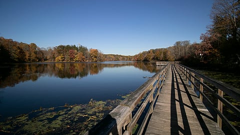 Teatown Lake Reservation Offers a Nature-Infused Escape Just Outside NYC