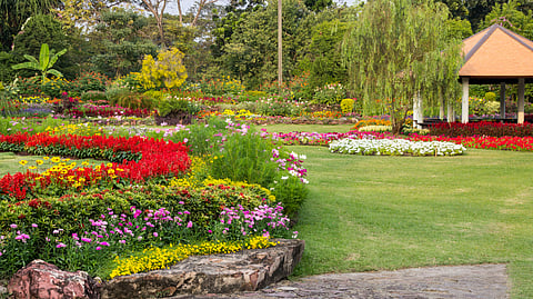 Colorful flower garden with lush greenery and a pavilion in the background