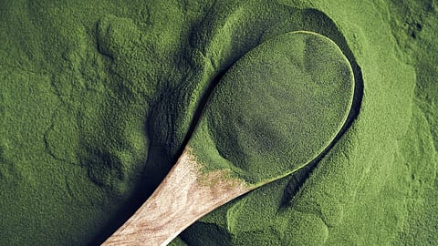 Wooden spoon filled with green superfood powder on a textured surface