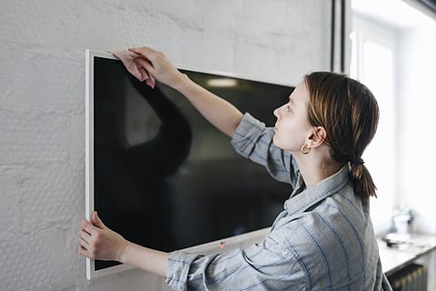 8 Non-Toxic Ways to Prevent Pests in Luxury Homes