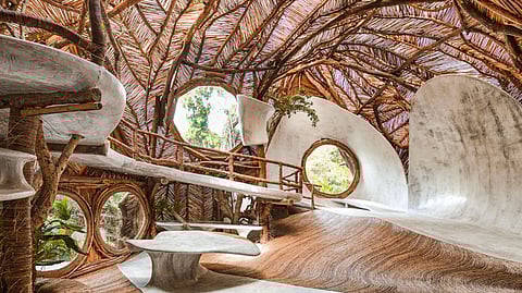 Jungle wellness resort in Riviera Maya