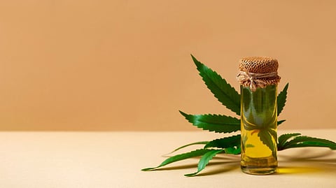 How Busy Entrepreneurs Are Using CBD Beverages to Boost Focus